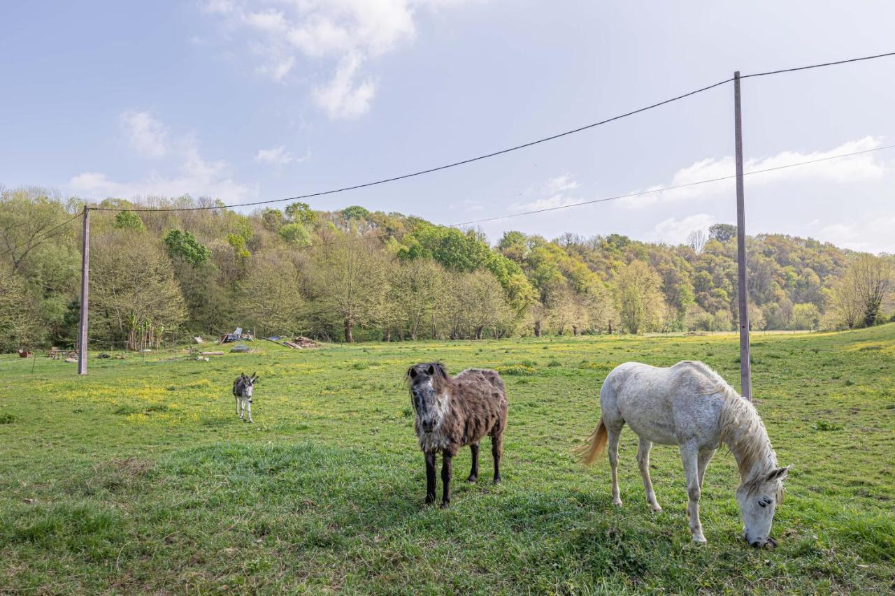 Gite Le Moulin Pocheluberry Bidache Kültér fotó